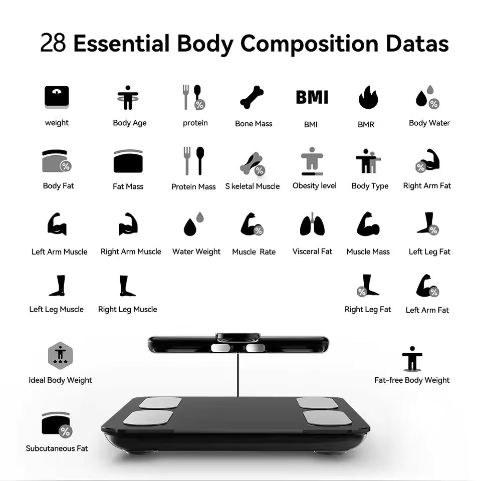 PLACEHOLDER - Bodylect BodyScan